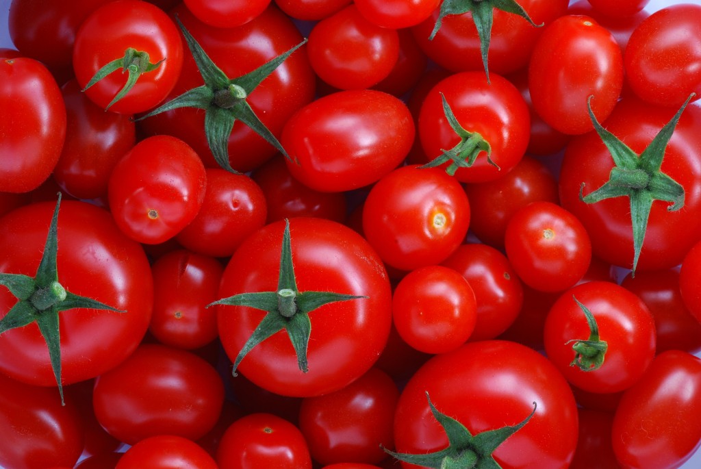 tomaten_amsterdam_foto